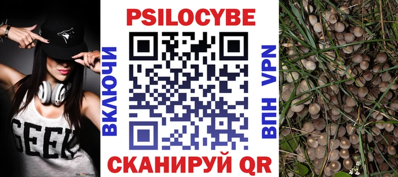Галлюциногенные грибы ЛСД  Пудож 